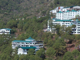 Ayurveda Shoolini