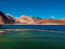 Bacteria from Pangong Lake