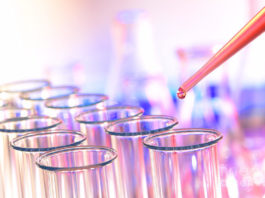 Novel Bacterial Biopigment with Diverse Applications