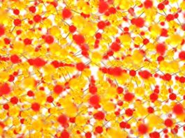 Harnessing Sunlight to Fuel