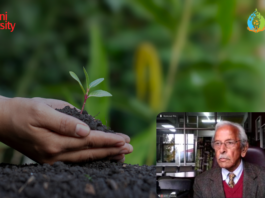 National Environment Youth Parliament 2022