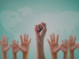 women's issues and gender studies