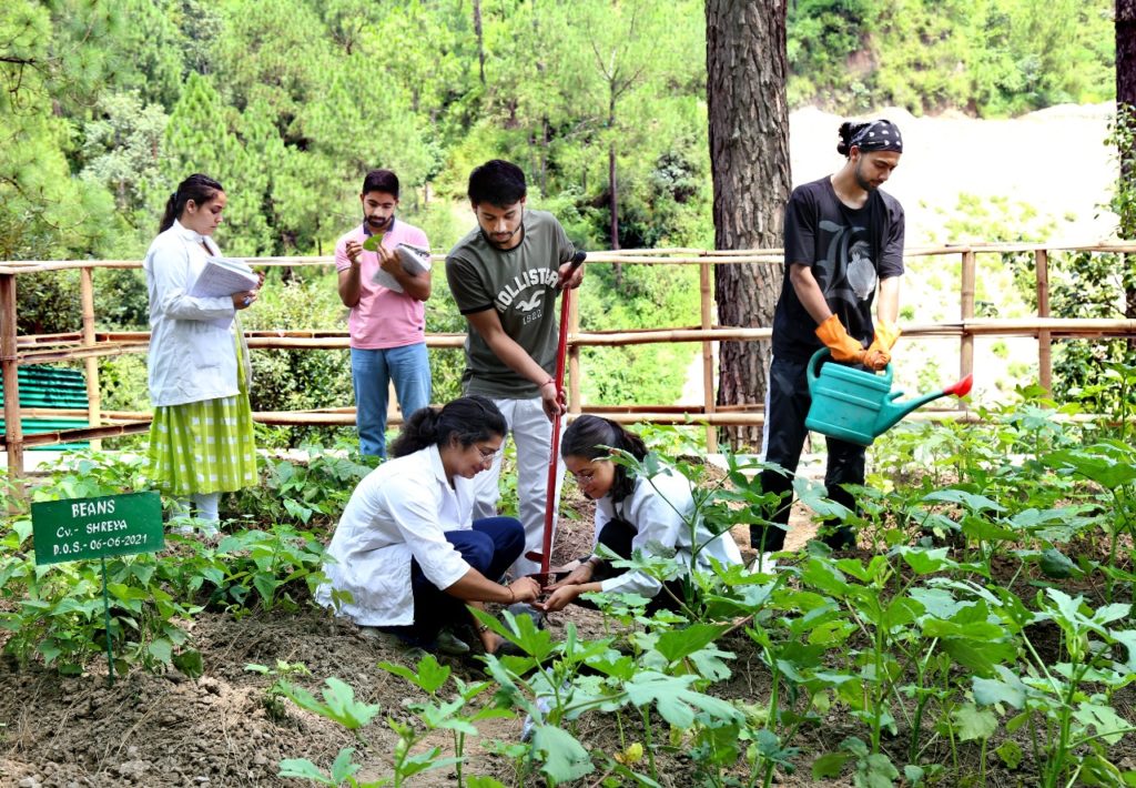 BSc (Hons) Agriculture students at Shoolini University