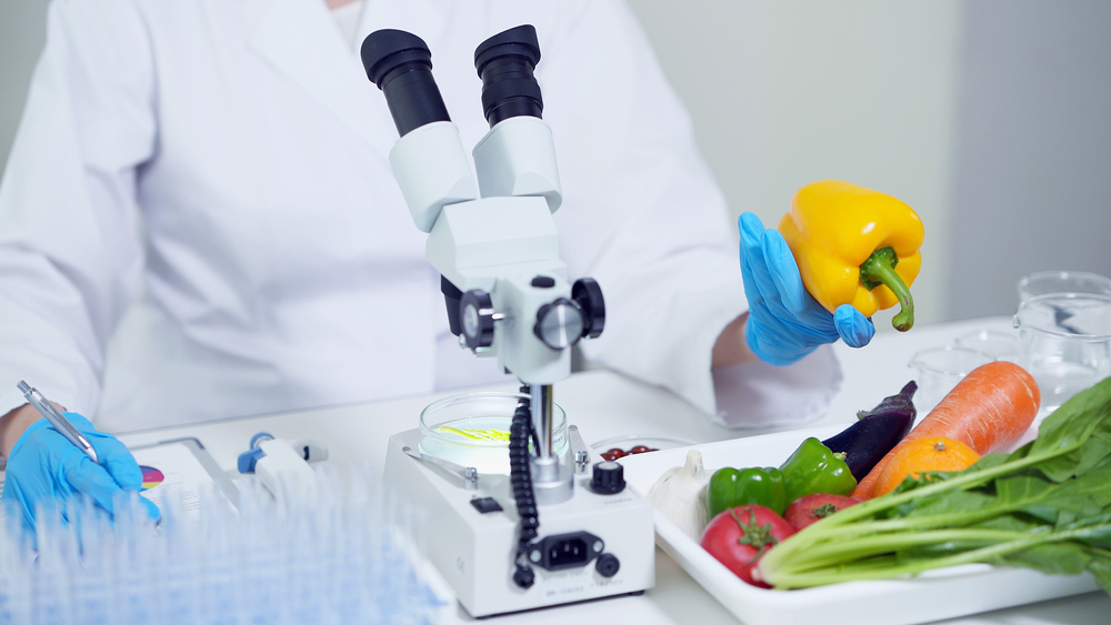 Benefits of Pursuing a Master's Degree in Food Tech | Shoolini University