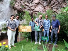 Tree Plantation - V-Empower