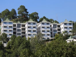 Research at Shoolini University