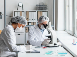 Research in student's life