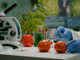 BSc (Hons) in Food Technology