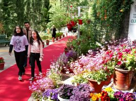Shoolini University Flower Fest