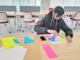 Shoolini University B Des Program