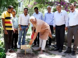 Padmashri Dr Khadar Valli at Shoolini