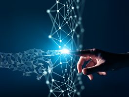 Innovation University Shoolini