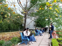 Shoolini Batch 2023 Welcome