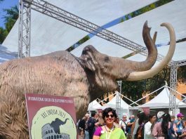 Shoolini Ekta Singh Rome Conclave