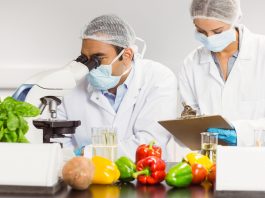 Food Technology career