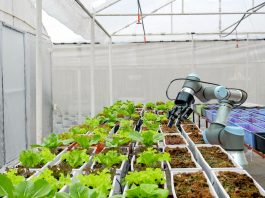 Food Technology AI