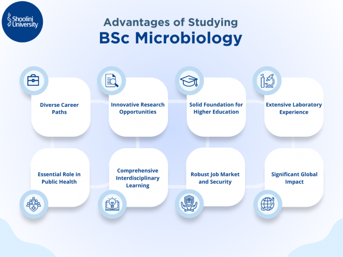 BSc Microbiology: Your Gateway To A Rewarding Research Career