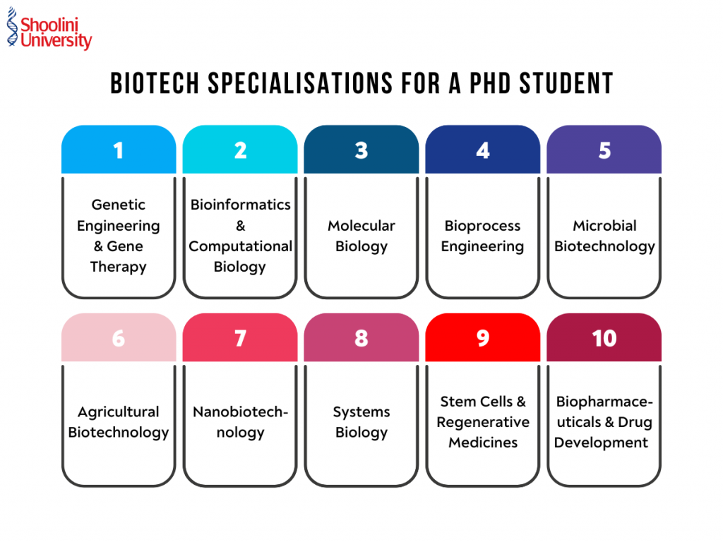 Biotechnology Specialisations for a PhD Student