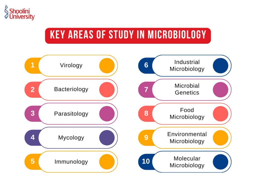 Key Areas of Study in Microbiology