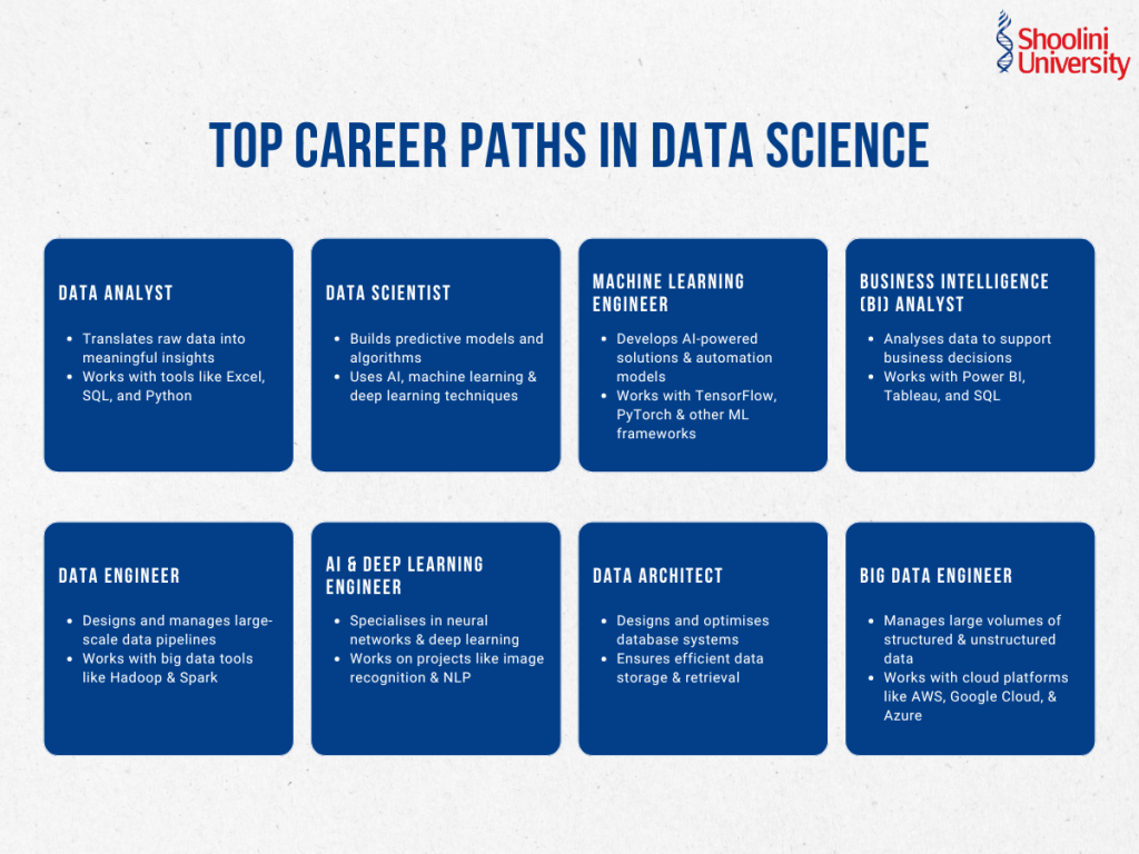 Top Career Paths in Data Science