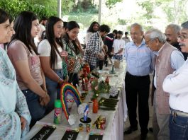 Eco Challenge