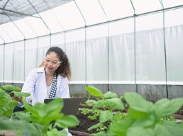 Agriculture University in HP