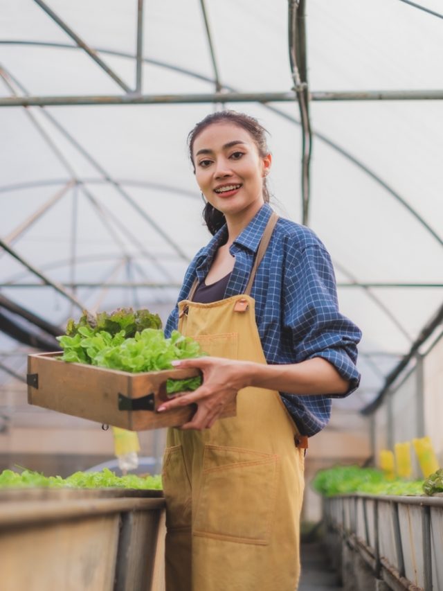 Agriculture in HP career paths