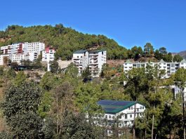 Shoolini Business School