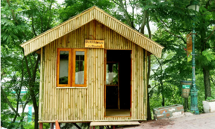 E-studios wooden huts at shoolini