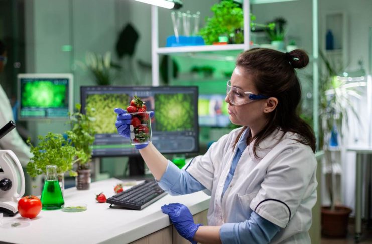 Food Technology vs Biotechnology